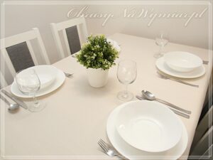 Obrus plamoodporny PRO LEN z gipiurą kolor ecri
